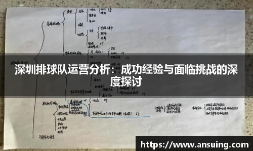 深圳排球队运营分析：成功经验与面临挑战的深度探讨
